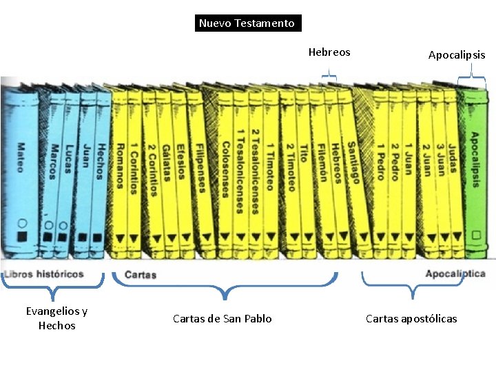 Nuevo Testamento Hebreos Evangelios y Hechos Cartas de San Pablo Apocalipsis Cartas apostólicas Nuevo Testamento Hebreos Evangelios y Hechos Cartas de San Pablo Apocalipsis Cartas apostólicas
