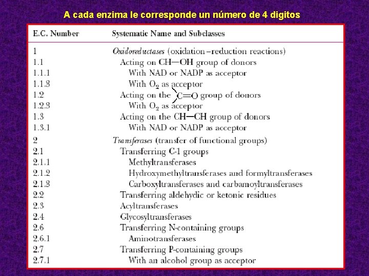 A cada enzima le corresponde un número de 4 digitos 