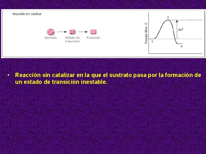  • Reacción sin catalizar en la que el sustrato pasa por la formación