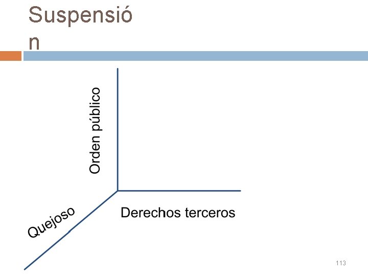 Suspensió n 113 Suspensió n 113