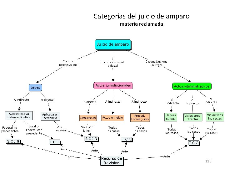 Categorías del juicio de amparo materia reclamada 120 Categorías del juicio de amparo materia reclamada 120