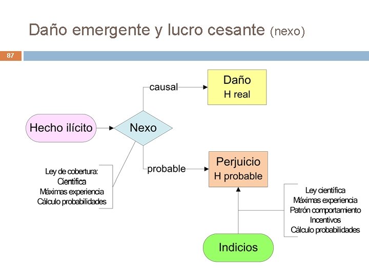 Daño emergente y lucro cesante (nexo) 87 Daño emergente y lucro cesante (nexo) 87