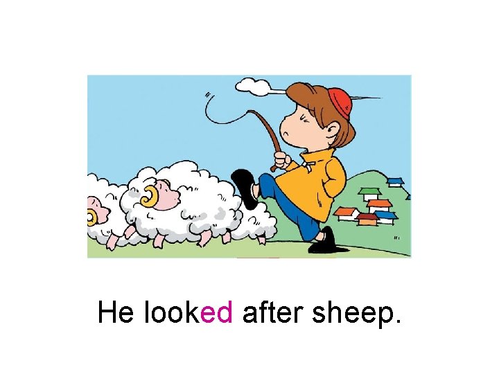 He looked after sheep. 