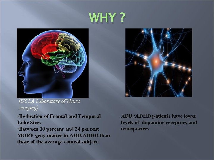 WHY ? (UCLA Laboratory of Neuro Imaging) • Reduction of Frontal and Temporal Lobe