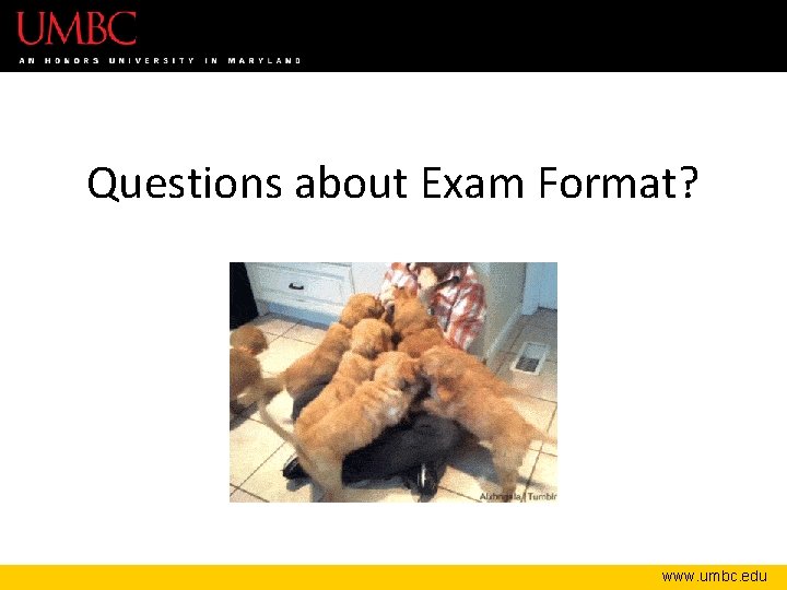 Questions about Exam Format? www. umbc. edu 