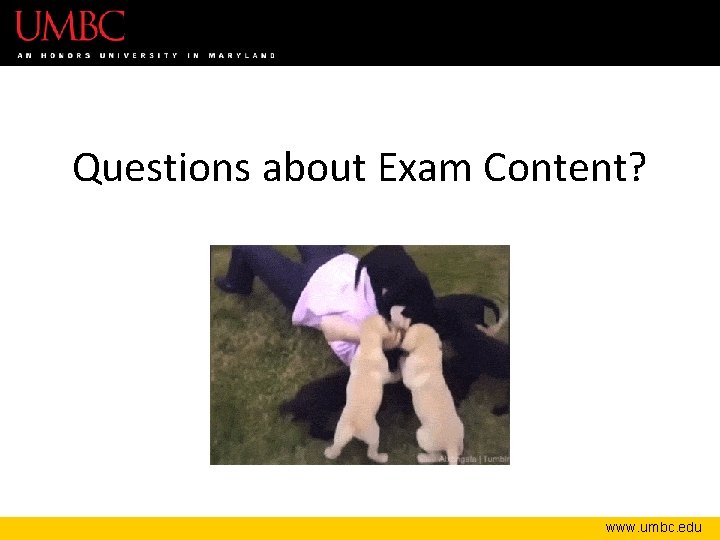 Questions about Exam Content? www. umbc. edu 