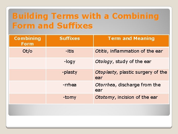 Building Terms with a Combining Form and Suffixes Combining Form Suffixes Ot/o -itis -logy