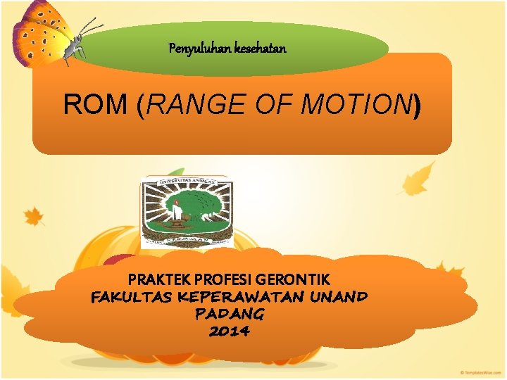 Penyuluhan kesehatan ROM (RANGE OF MOTION) PRAKTEK PROFESI GERONTIK FAKULTAS KEPERAWATAN UNAND PADANG 2014