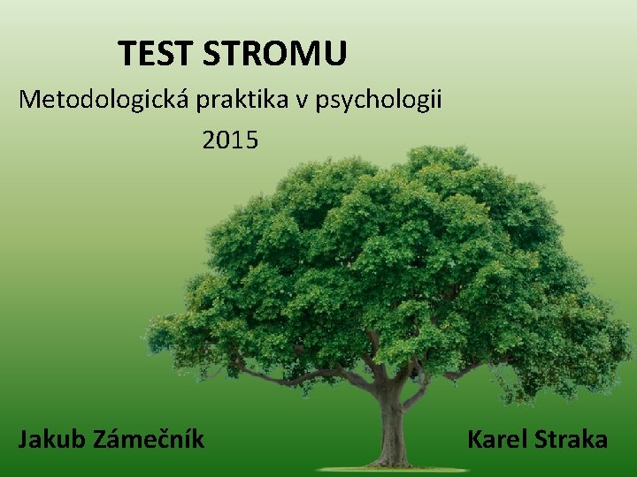 TEST STROMU Metodologická praktika v psychologii 2015 Jakub Zámečník Karel Straka 