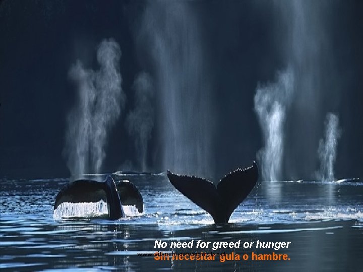 No need for greed or hunger www. vitanoblepowerpoints. net Sin necesitar gula o hambre.