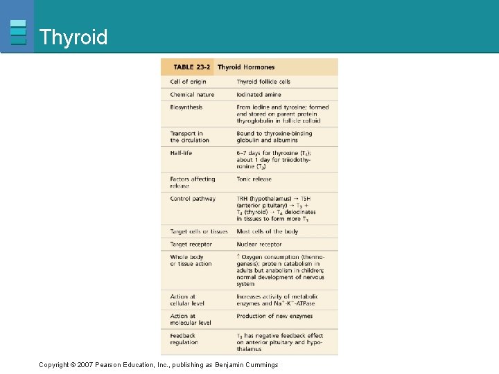 Thyroid Copyright © 2007 Pearson Education, Inc. , publishing as Benjamin Cummings 