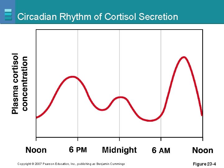 Circadian Rhythm of Cortisol Secretion Copyright © 2007 Pearson Education, Inc. , publishing as