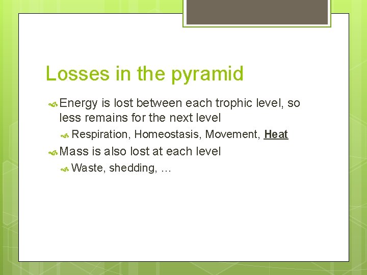 Losses in the pyramid Energy is lost between each trophic level, so less remains