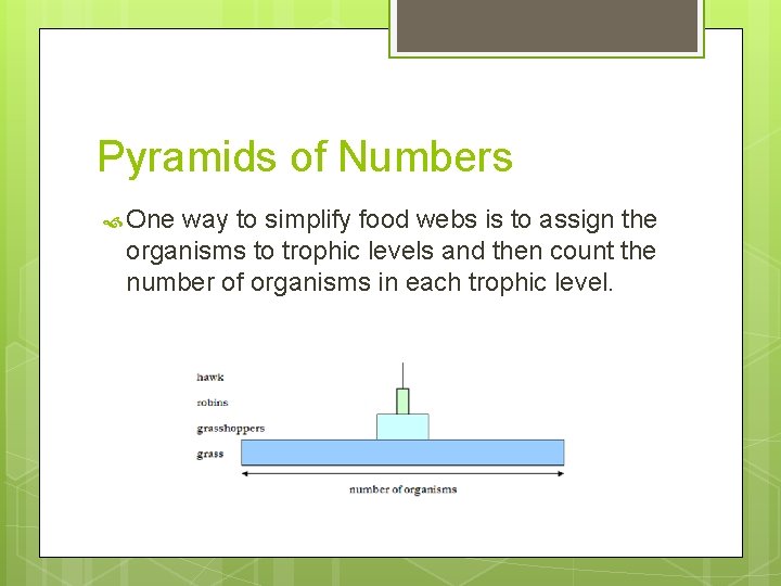Pyramids of Numbers One way to simplify food webs is to assign the organisms