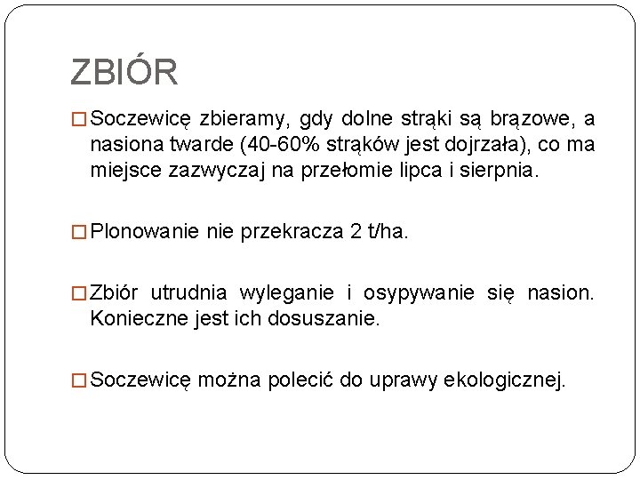 ZBIÓR � Soczewicę zbieramy, gdy dolne strąki są brązowe, a nasiona twarde (40 -60%