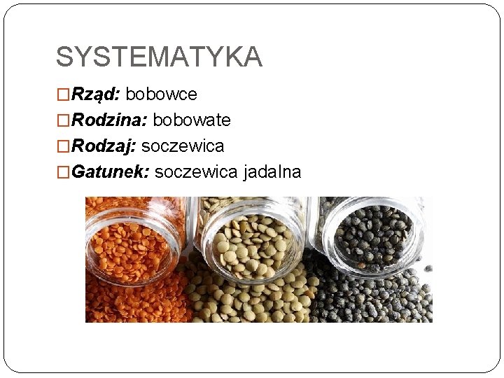 SYSTEMATYKA �Rząd: bobowce �Rodzina: bobowate �Rodzaj: soczewica �Gatunek: soczewica jadalna 