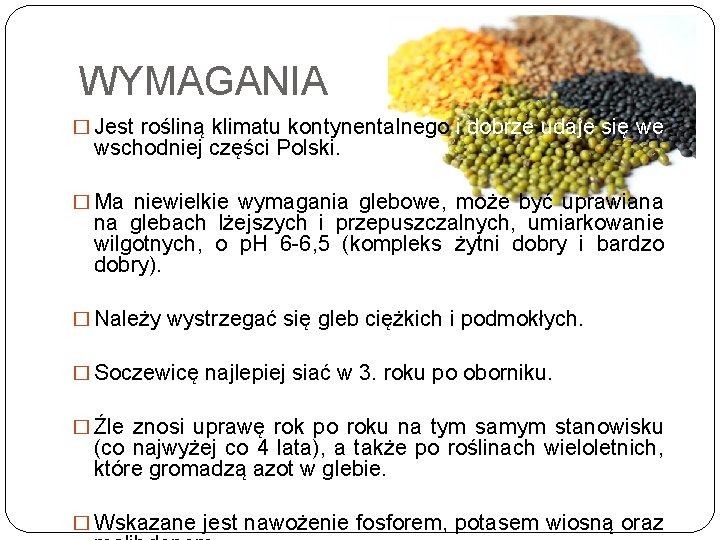 WYMAGANIA � Jest rośliną klimatu kontynentalnego i dobrze udaje się we wschodniej części Polski.