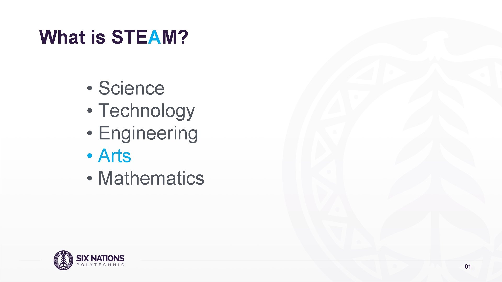 What is STEAM? • Science • Technology • Engineering • Arts • Mathematics 01