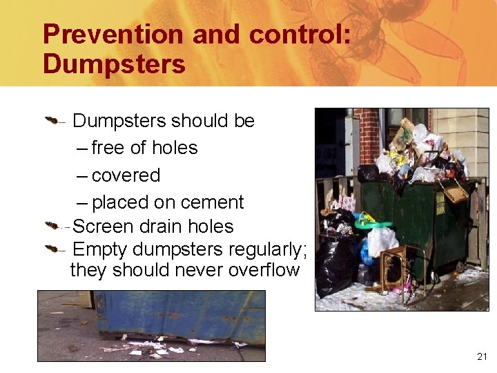 Prevention and control: Dumpsters should be – free of holes – covered – placed