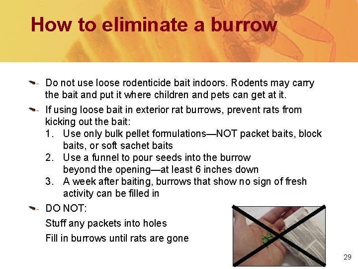 How to eliminate a burrow Do not use loose rodenticide bait indoors. Rodents may