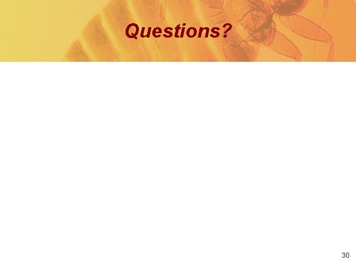 Questions? 30 