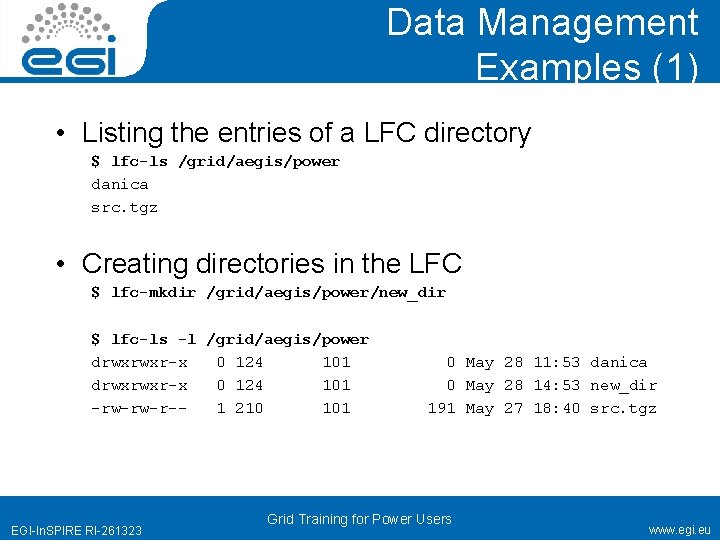 Data Management Examples (1) • Listing the entries of a LFC directory $ lfc-ls