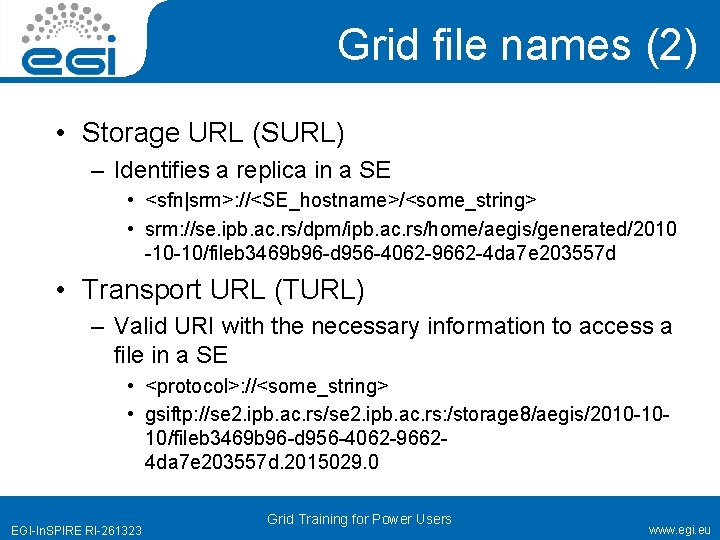 Grid file names (2) • Storage URL (SURL) – Identifies a replica in a