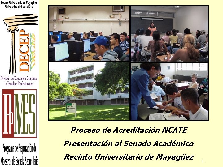 Proceso de Acreditación NCATE Presentación al Senado Académico Recinto Universitario de Mayagüez 1 