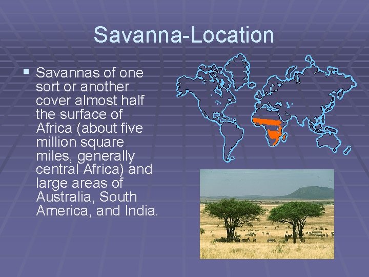 Savanna-Location § Savannas of one sort or another cover almost half the surface of