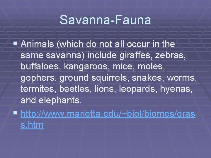 Savanna-Fauna § Animals (which do not all occur in the same savanna) include giraffes,