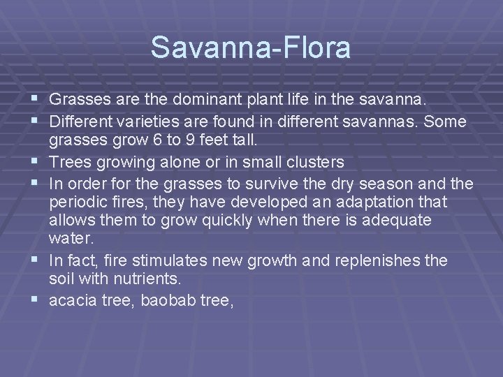 Savanna-Flora § Grasses are the dominant plant life in the savanna. § Different varieties
