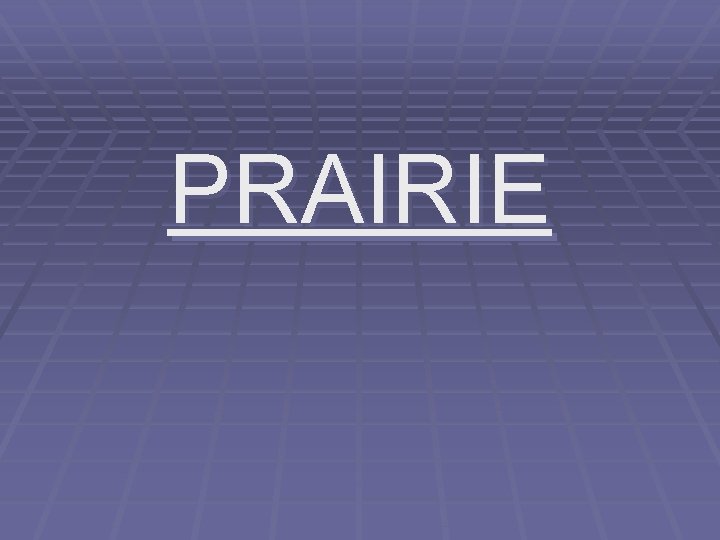 PRAIRIE 