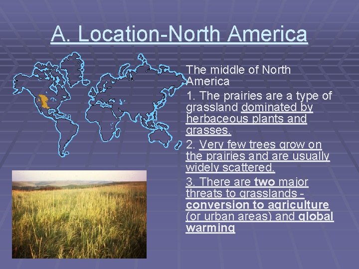 A. Location-North America The middle of North America 1. The prairies are a type