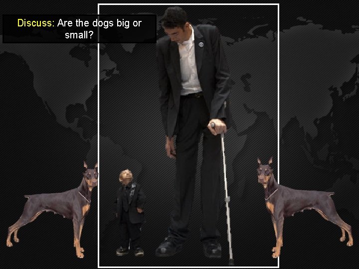 Discuss: Are the dogs big or small? Discuss: Are the dogs big or small?