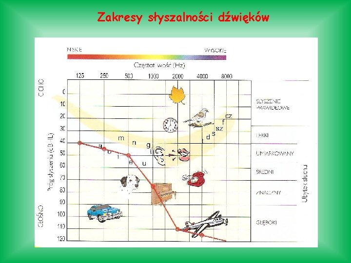 Zakresy słyszalności dźwięków Zakresy słyszalności dźwięków