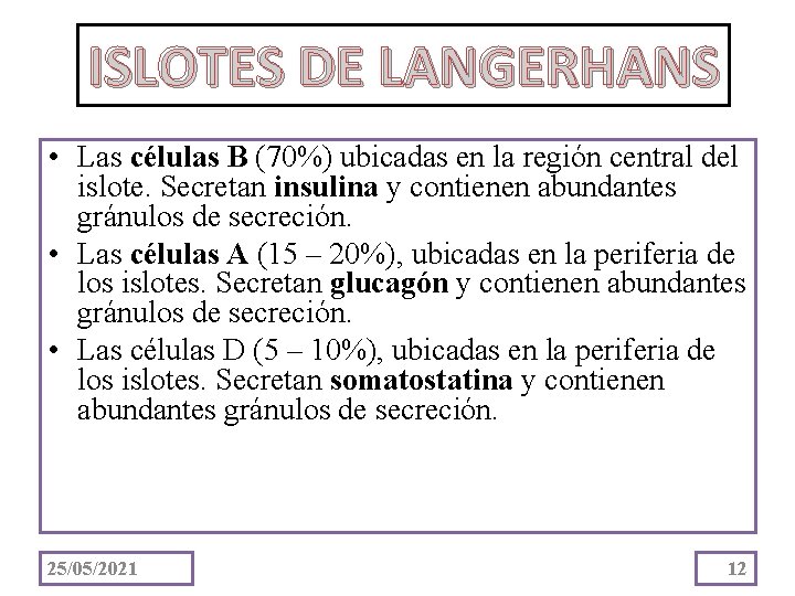 ISLOTES DE LANGERHANS • Las células B (70%) ubicadas en la región central del
