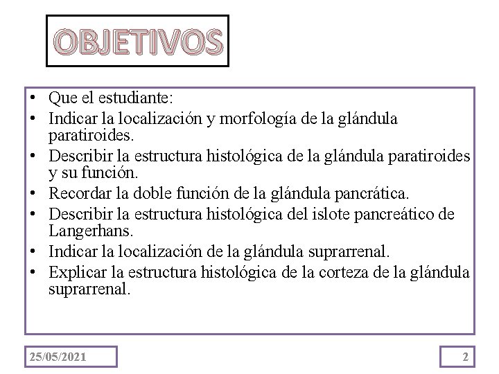 OBJETIVOS • Que el estudiante: • Indicar la localización y morfología de la glándula