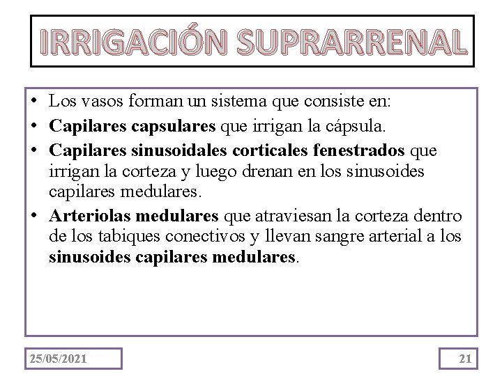 IRRIGACIÓN SUPRARRENAL • Los vasos forman un sistema que consiste en: • Capilares capsulares