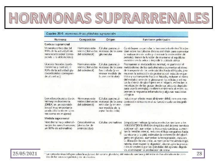 HORMONAS SUPRARRENALES 25/05/2021 28 