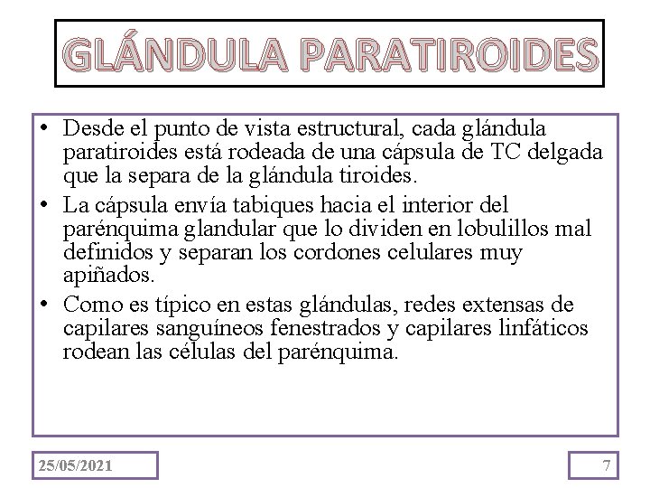 GLÁNDULA PARATIROIDES • Desde el punto de vista estructural, cada glándula paratiroides está rodeada