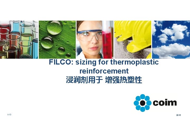 FILCO: sizing for thermoplastic reinforcement 浸润剂用于 增强热塑性 1/13 2016 