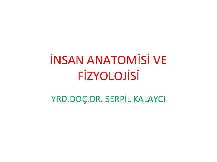 İNSAN ANATOMİSİ VE FİZYOLOJİSİ YRD. DOÇ. DR. SERPİL KALAYCI 