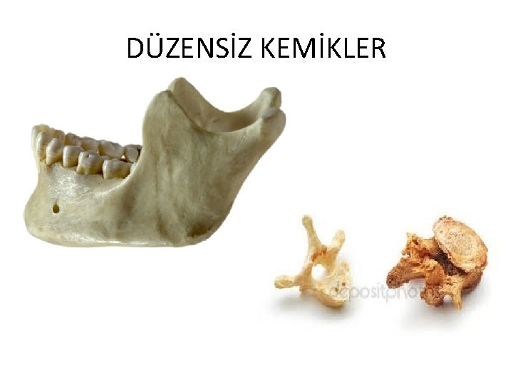 DÜZENSİZ KEMİKLER 