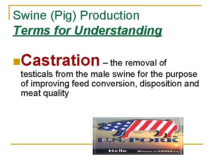 Swine (Pig) Production Terms for Understanding n. Castration – the removal of testicals from