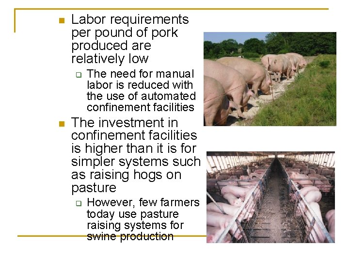 n Labor requirements per pound of pork produced are relatively low q n The