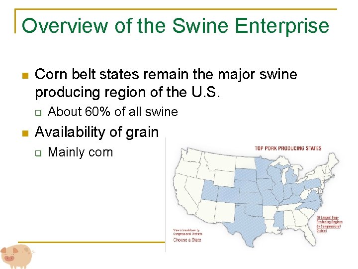 Overview of the Swine Enterprise n Corn belt states remain the major swine producing