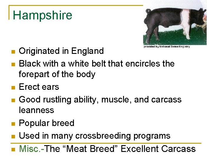 Hampshire n Originated in England Black with a white belt that encircles the forepart