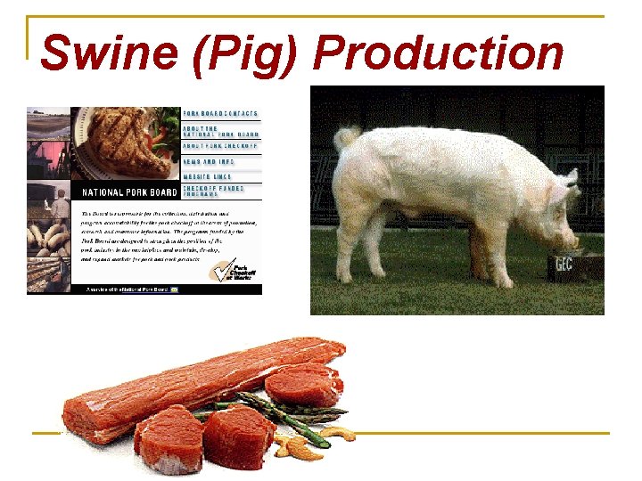 Swine (Pig) Production 