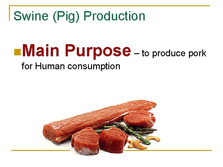 Swine (Pig) Production n. Main Purpose – to produce pork for Human consumption 