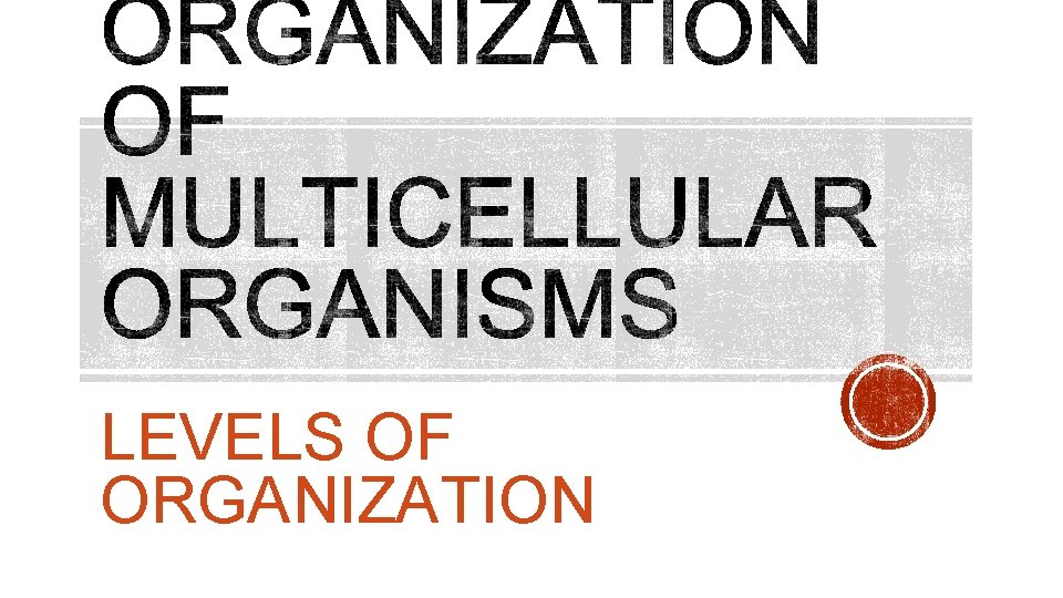 LEVELS OF ORGANIZATION LEVELS OF ORGANIZATION